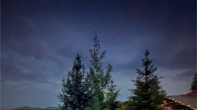 Driveways & Entryways Photo