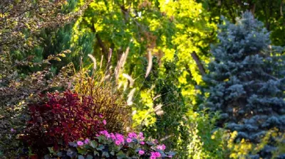 Gardens & Plantings Photo