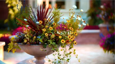 Gardens & Plantings Photo