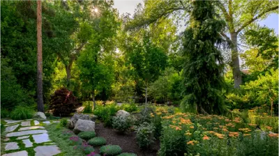 Gardens & Plantings Photo