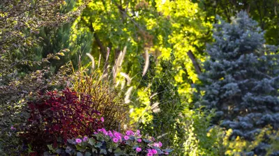 Nature without Restraint Photo