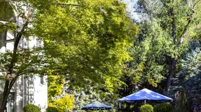 Nature without Restraint Photo