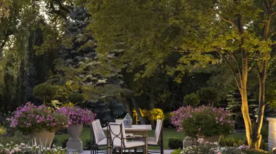 Nature without Restraint Photo