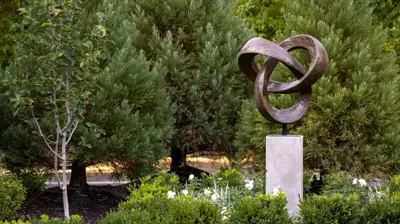 Nature without Restraint Photo