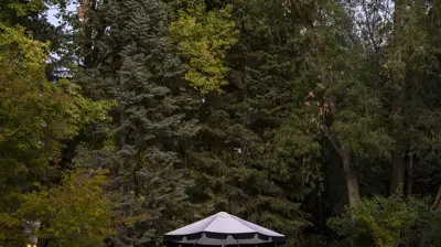 Nature without Restraint Photo