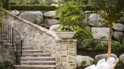 Nature without Restraint Photo