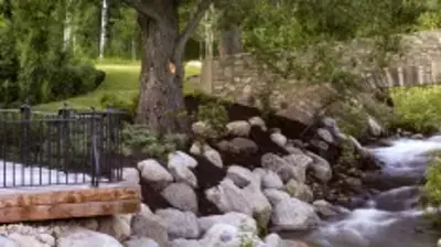 Nature without Restraint Photo