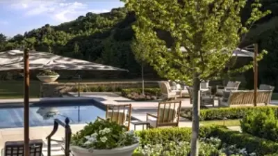 Nature without Restraint Photo