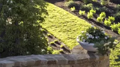 Nature without Restraint Photo