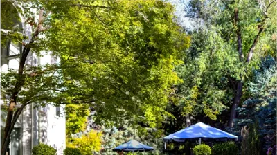 Patios & Cozy Spots Photo