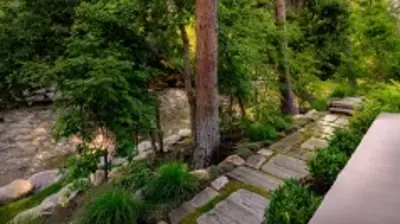 Riverside Oasis Photo