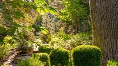 Riverside Oasis Photo