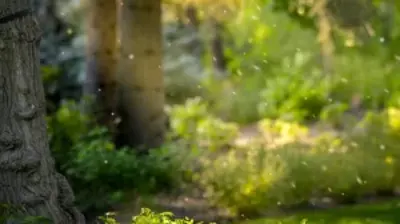 Riverside Oasis Photo