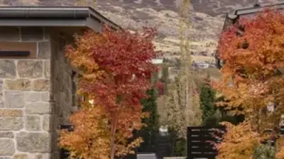 Styled Seclusion Photo